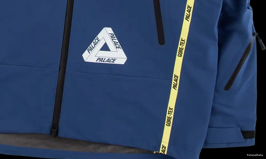 Cheap Palace Gore-Tex Palex Jacket 0627